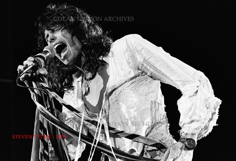 AEROSMITH #AR0232-27AA