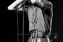 DAVID BOWIE #AC0214-33