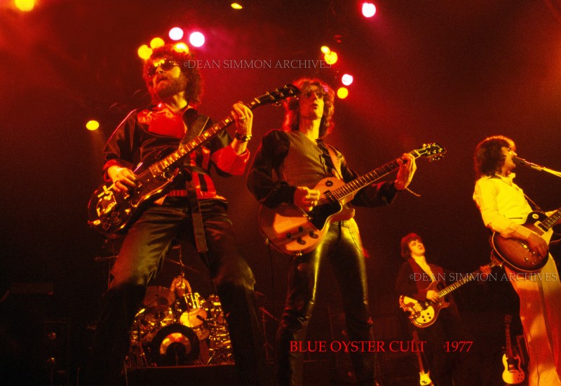 BLUE OYSTER CULT #0193-AM77