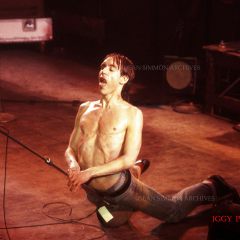 IGGY POP #0805-R77